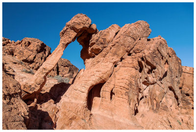 Elephant Rock