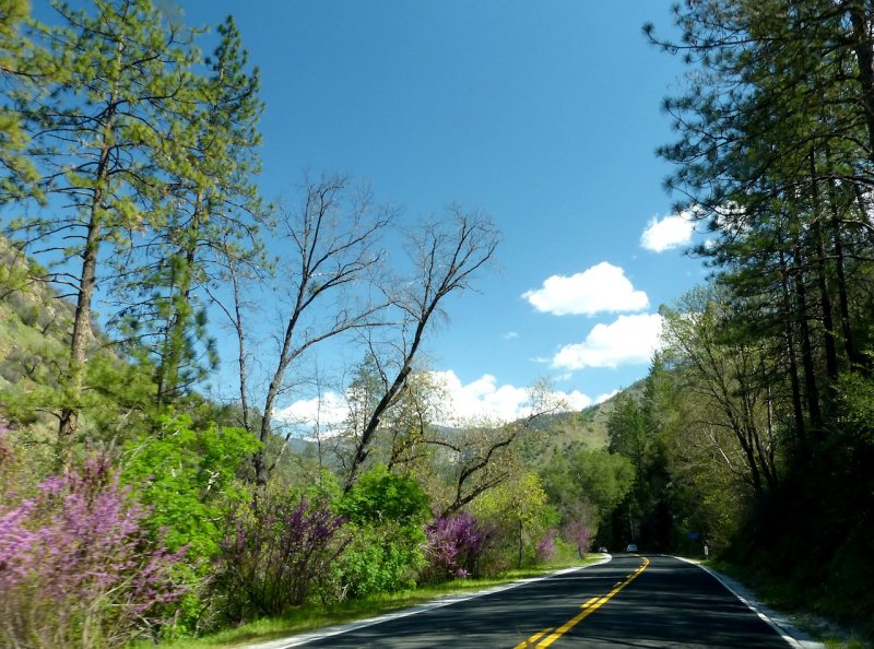 783 5 Road to Yosemite.jpg