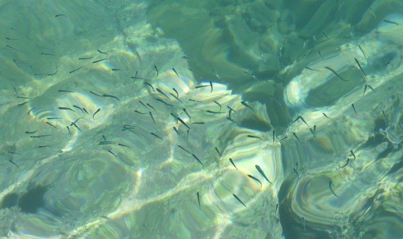 170 Chania Crete.jpg