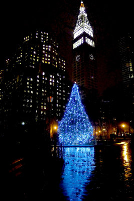 278 379 Madison Square Park Dec 2012 1