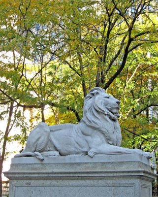 306 297 7 NY Public Library Lion 4.jpg