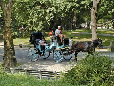 425 435 carriage ride.JPG