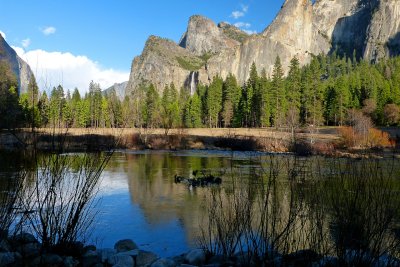 706 3 Yosemite Cooks Meadow Afternoon Reflection.jpg