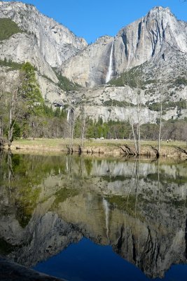 707 2 Yosemite Cooks Meadow Yosemite Falls Reflection 2.jpg