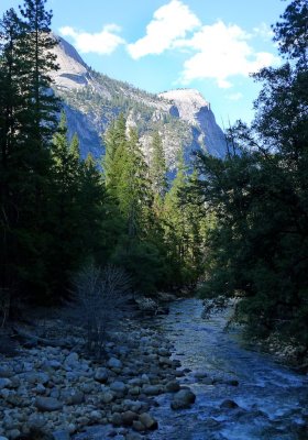 723 Yosemite Mirror Lake Trail Tenaya Creek 1.jpg