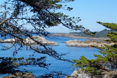 257 Pt Lobos.jpg