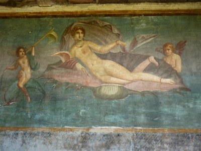 336 House of Venus in the shell Pompeii.jpg