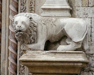 228 Perugia lion 7.jpg