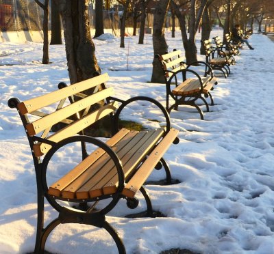 361 Roosevelt Island winter benches 2016.jpg