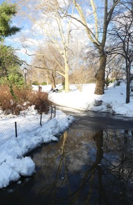 422 8 Central Park snow 2016 1.jpg