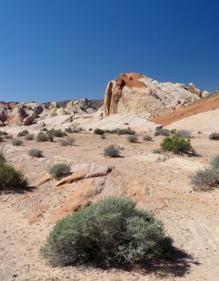 185 Valley of Fire State Park 1.jpg