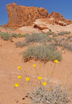 187 Valley of Fire State Park 8.jpg