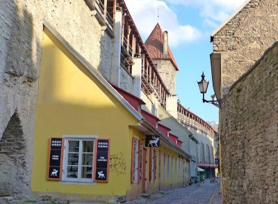 191 Tallinn 2016.jpg