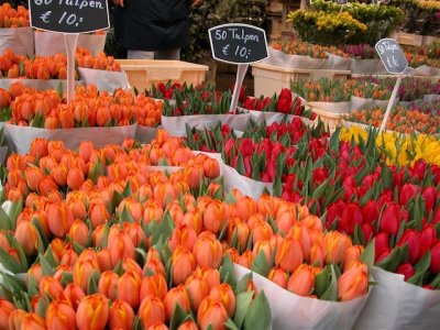 210 Bloemenmarkt 2004 1, Amsterdam.jpg