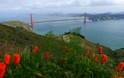 403 2 Golden Gate Bridge.jpg