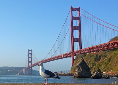 408 3 Golden Gate Bridge.jpg