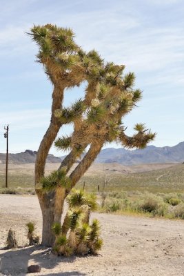 death_valley