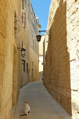 400 Malta Mdina.jpg
