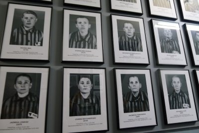 329 Auschwitz.jpg
