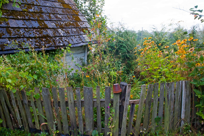 Old Fence, Old House, Old Garden