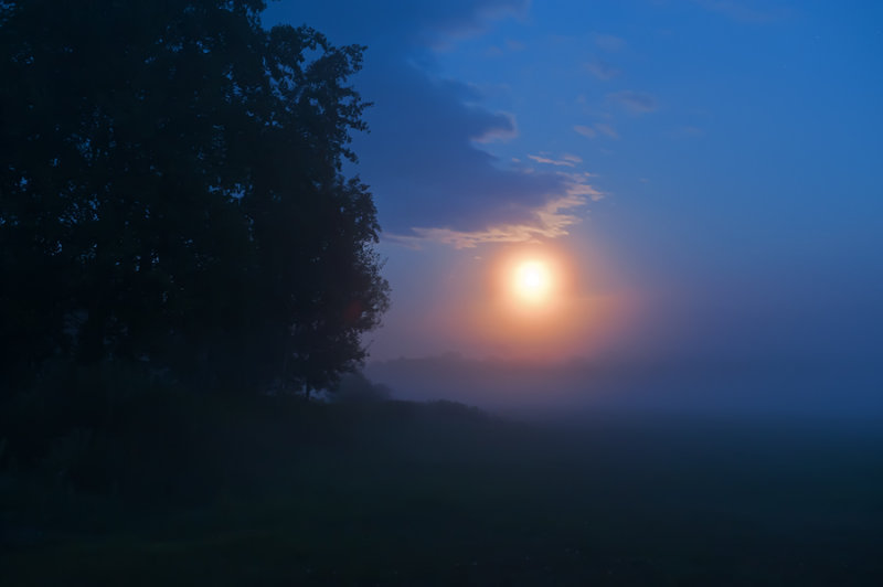 Moonrise In The Fog