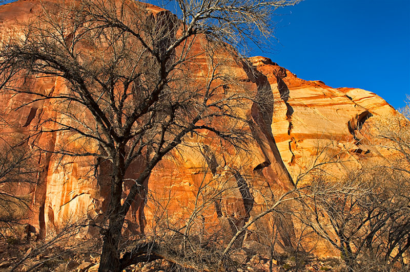 Capitol Reef NP