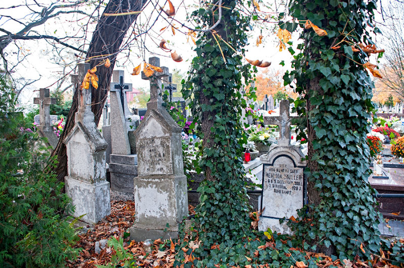 Old Tombstones Of German Settlers