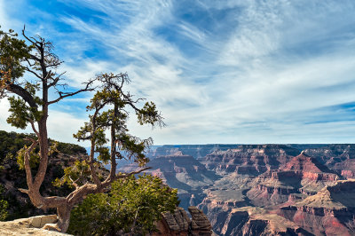 Grand Canyon South Rim