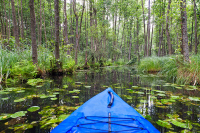 Kayaking On The River