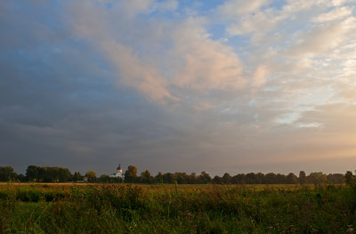 Bucolic Landscape