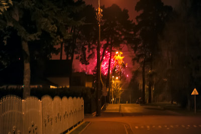 The Trees And The Fireworks