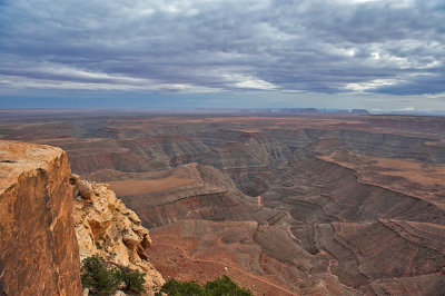 View From Muley Point