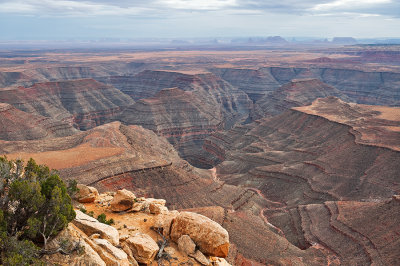 View From Muley Point