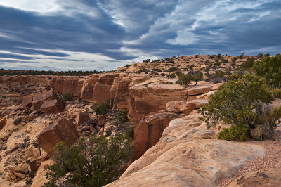 Muley Point Overlook