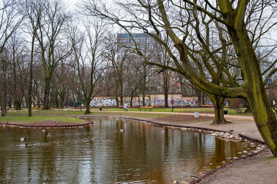 A Brook In The City