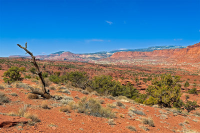 Capitol Reef NP - View From Panorama Point