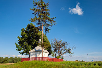 St. John Of Nepomuk Shrine