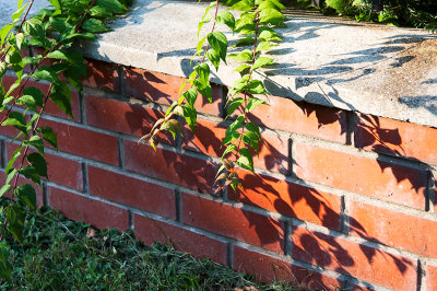 Shadows On A Brick Wall 