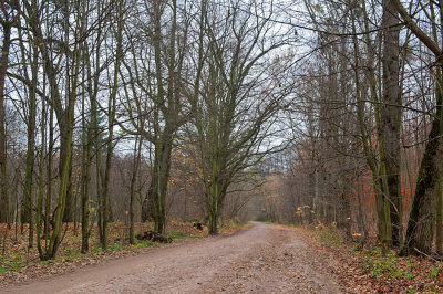 Empty Road