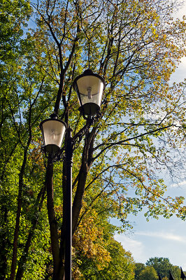 Lantern And Sunny Trees