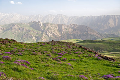 Landscape Of Alborz Range