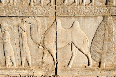 The Apadana Stone Relief - Arachosian Delegation