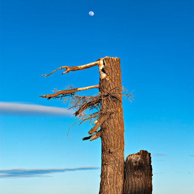 Moon At Bryce Canyon - Farview Point