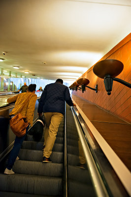 Journey Up The Escalator