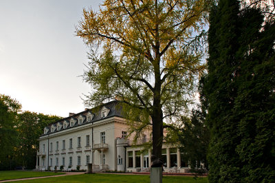 Radziejowice Palace