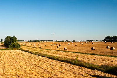  Landscape After Harvest