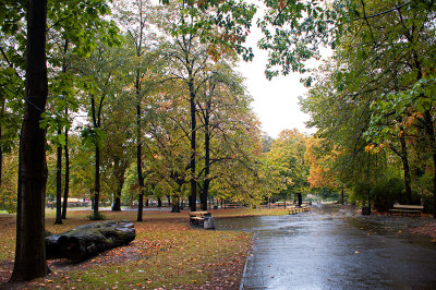 Empty Park