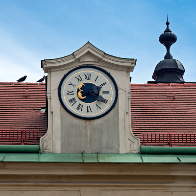 Clock And Pigeons