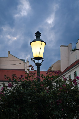 Lantern At Dusk With Flowers