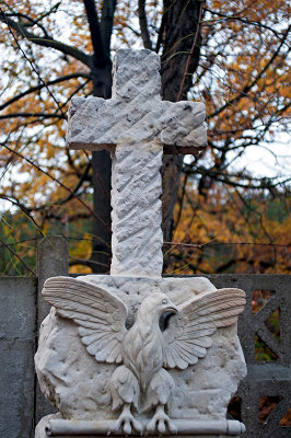 The Cross And An Eagle